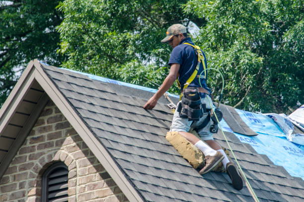 Best Roof Restoration Services  in Loyalhanna, PA